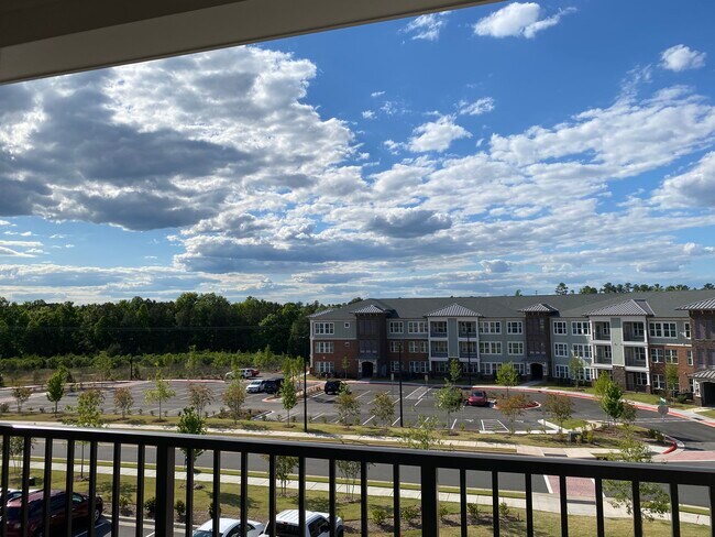View from balcony - 2000 Dominion Ridge Cir