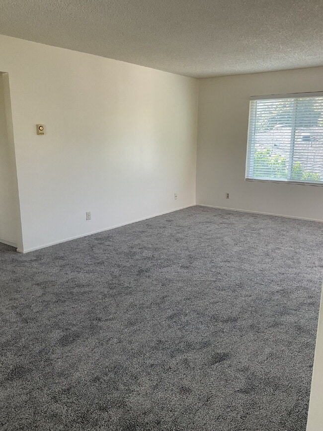 Building Photo - "Charming 2-Bed Oasis in Ventura – Cozy 90...