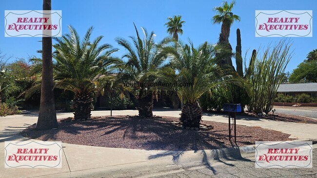 Foto del edificio - Prince Rd & Tyndall - 3 Bedroom and 2 Bath...