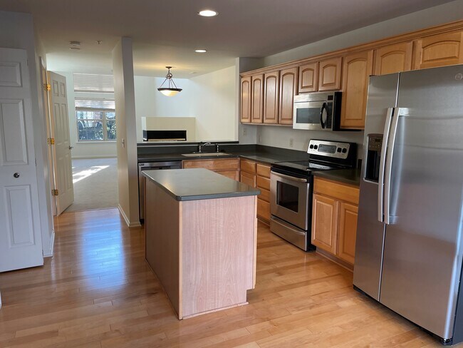 Isla de cocina, electrodomésticos nuevos de acero inoxidable y suelos de madera noble. - 1407 Ashford Ct