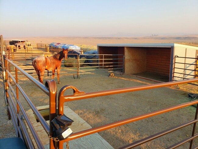 Building Photo - Horse property with indoor arena.