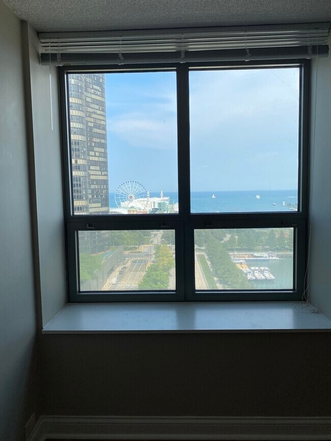 Foto del edificio - 474 N Lake Shore Dr