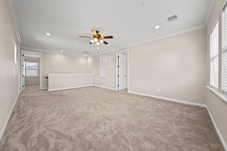 Building Photo - 123 Bella Sole