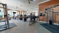 Located at 423 Highway 466 in Lady Lake, Florida, this fitness center offers a well-appointed exercise room designed to support a full range of workout routines. The space is characterized by warm terracotta-orange walls accented with crisp white crown molding, creating an energizing yet inviting atmosphere. A distinctive herringbone-patterned carpet in muted blue, gray, and orange tones covers the floor throughout, adding a stylish touch to the functional environment.

The room is generously illuminated by abundant natural light streaming through multiple large arched and rectangular windows, complemented by recessed ceiling lights. Several ceiling fans are strategically positioned overhead to maintain airflow and comfort during workouts. Floor-to-ceiling mirrors along one wall visually expand the space and aid users during exercise.

The facility is comprehensively equipped with a wide array of machines, including treadmills, elliptical trainers, cable and weight machines, a rowing machine, and a multi-purpose rack. Free weights and stability balls round out the cardio and strength training offerings. Framed artwork decorates the walls, and French doors provide an additional sense of openness. The overall layout is spacious and uncluttered, allowing for comfortable movement between equipment.