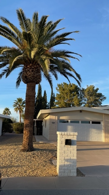 Building Photo - 10842 W Sequoia Dr