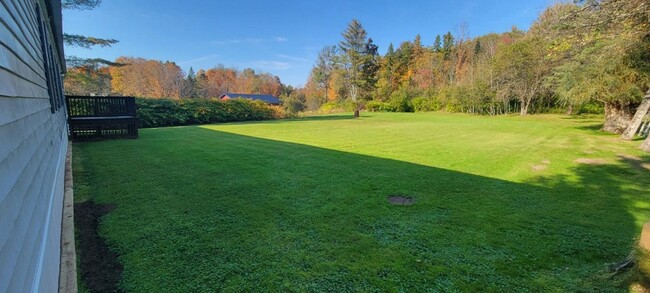 Building Photo - Beautiful Home in Cold Brook!