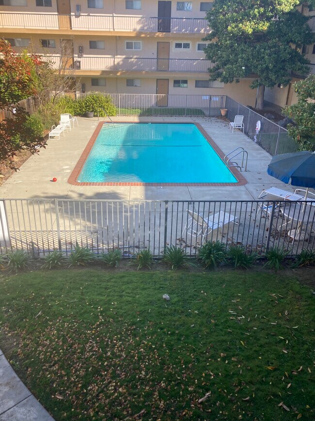 Piscina - Surfside Palms Apartments