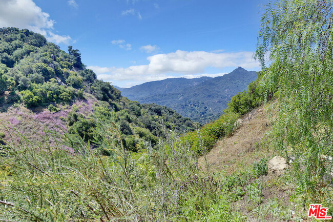 Building Photo - 2529 Topanga Skyline Dr