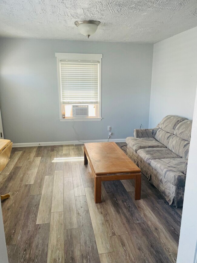 Living room - 257 4th Ave