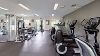 This fitness center offers a spacious, single-level layout designed to accommodate a full range of workout routines. The space is outfitted with an extensive selection of cardio equipment, including multiple treadmills, elliptical trainers, and stationary bikes, all arranged to maximize floor space and ease of movement between machines.

The strength training area is equally well-appointed, featuring a variety of cable and weight machines, a dedicated dumbbell rack with a full range of free weights, and additional benching and functional training stations. Dark, durable rubber flooring runs throughout, providing both safety and a professional aesthetic.

Natural light plays a significant role in the ambiance of this fitness center. Large, multi-pane windows line the walls, offering views of lush greenery outside and creating an open, inviting atmosphere. Recessed and flush-mounted fluorescent lighting supplements natural light, ensuring consistent illumination throughout all hours of use.

Full-length mirrors are positioned along one wall, enhancing the sense of space while allowing users to monitor their form during workouts. A ceiling-mounted television provides entertainment, and informational signage is posted for member guidance. The overall environment is clean, functional, and well-maintained.