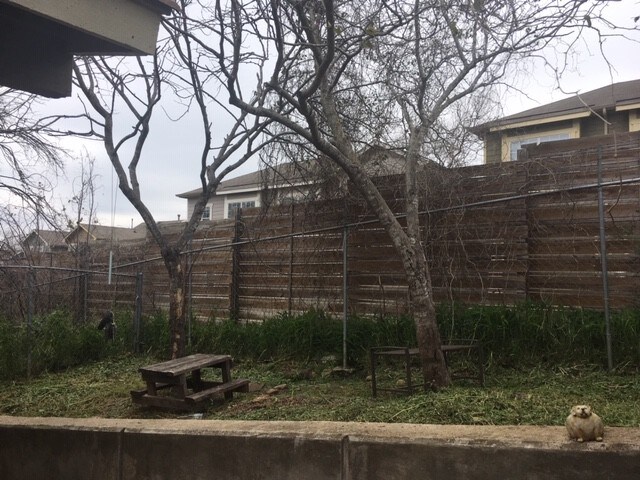 Foto del edificio - 2809 Parker Ln