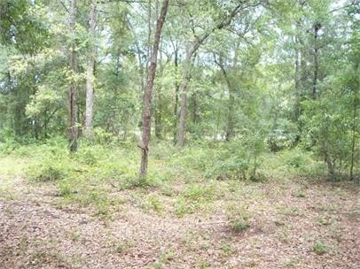 Foto del edificio - 8697 Wide Rd