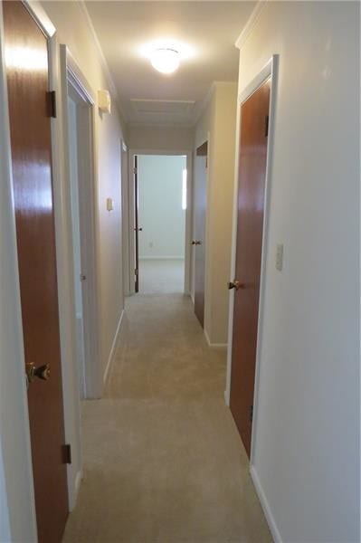 Building Photo - 2571 Carolyn Dr