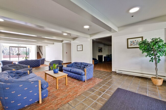 Foto del edificio - Beautiful and Spacious 1BR 1BA Condo in Pa...