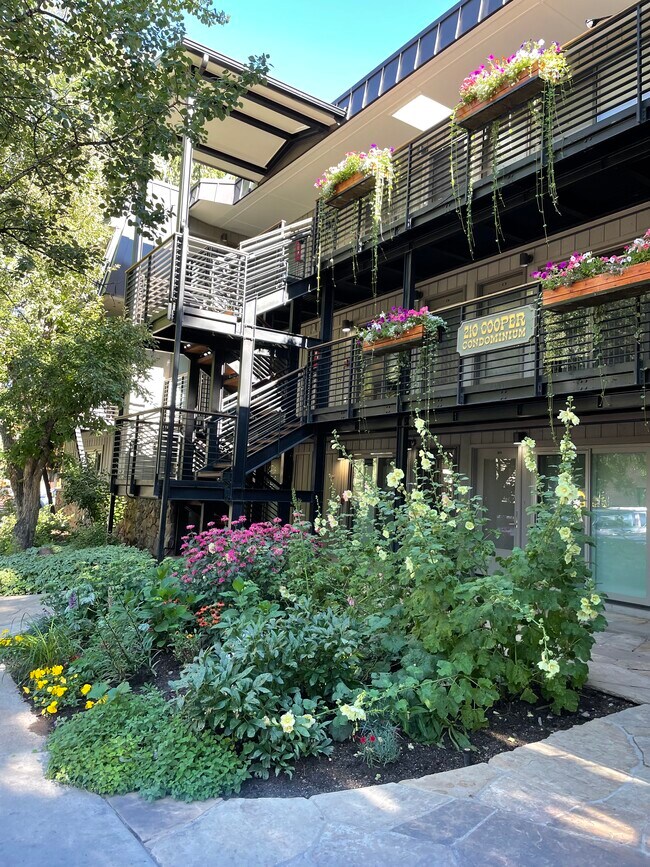 210 E Cooper Ave Unit 210 E Cooper Ave. 1, Aspen, CO 81611 Condo for