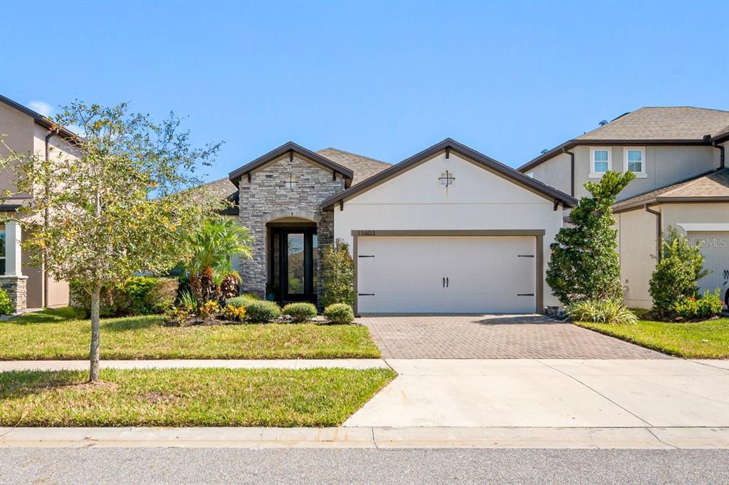 11603 Sweet Tangerine Ln, Tampa, FL 33626 House Rental in Tampa, FL