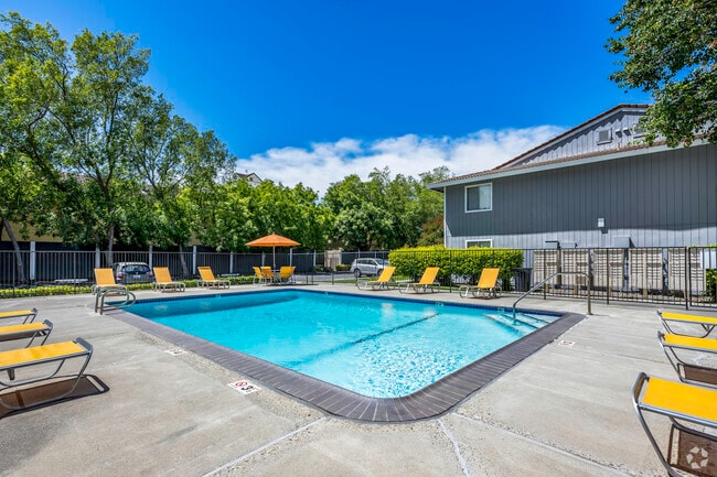 Pool - Grove At Davis