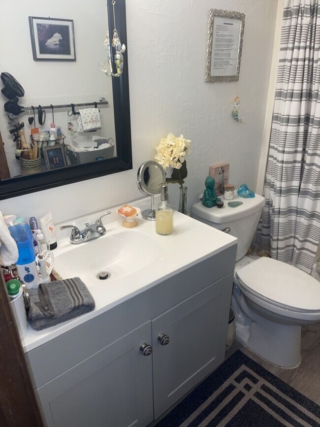 Foto del edificio - 1bd/1 ba in Wailuku Manor