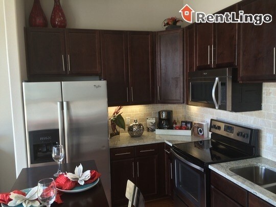 Foto principal - 2630 Bissonnet St