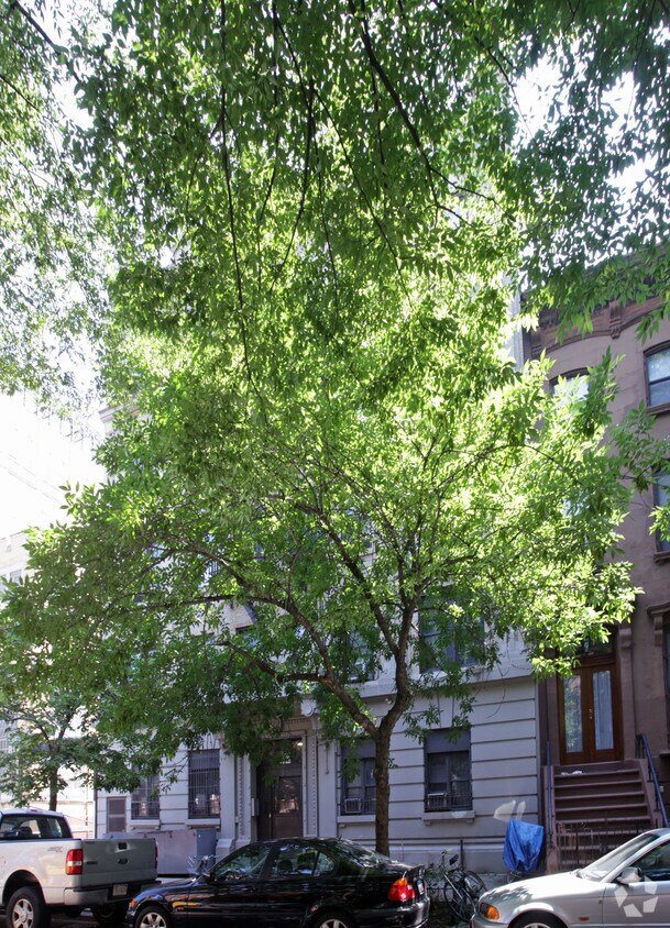 Foto del edificio - 63 Fort Greene Pl