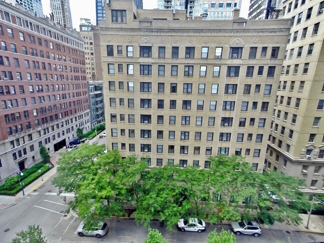 Foto del edificio - 900 N Lake Shore Dr