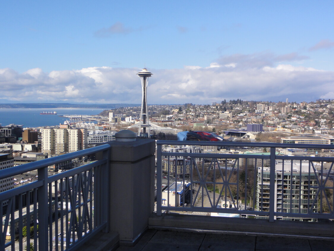 Rooftop view of Seattle - 819 Virginia St