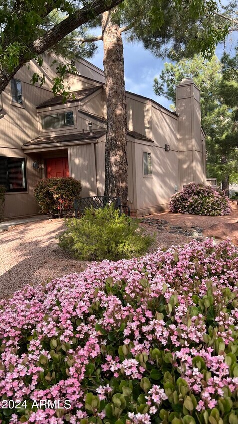 Foto principal - 1360 Vista Montana Rd