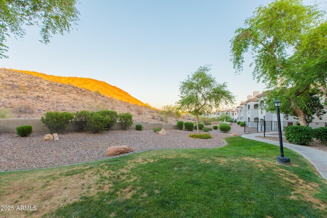 Foto del edificio - 3236 E Chandler Blvd