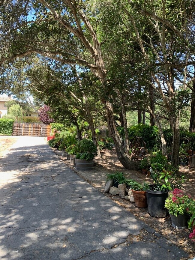 Building Photo - Wonderful 3 bedroom, 2 bathroom house in the Jacks Peak area