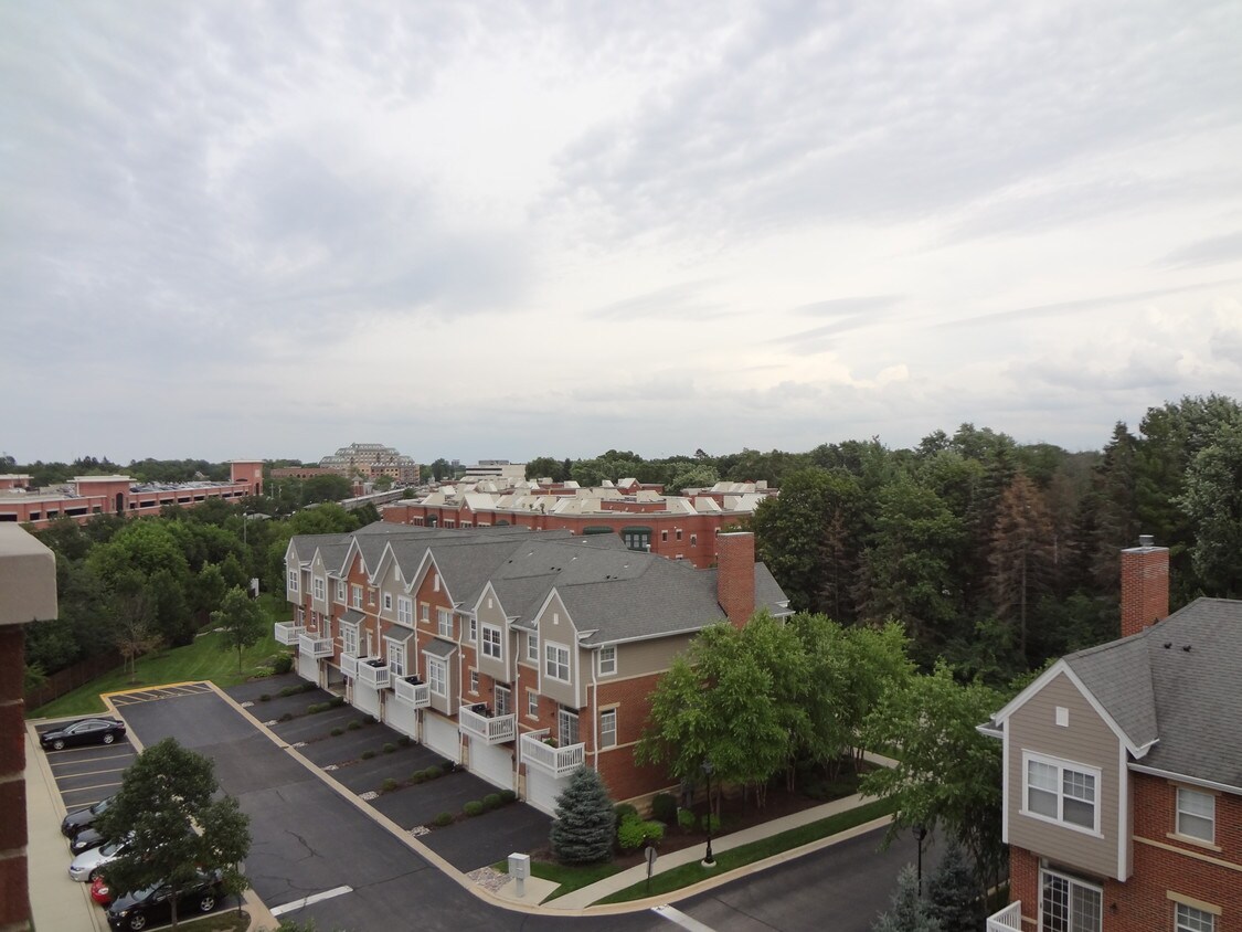 390 W Mahogany Ct, Palatine, IL 60067 Condo for Rent in Palatine, IL