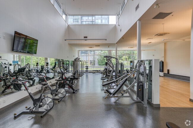 Gym - Pacific Palisades