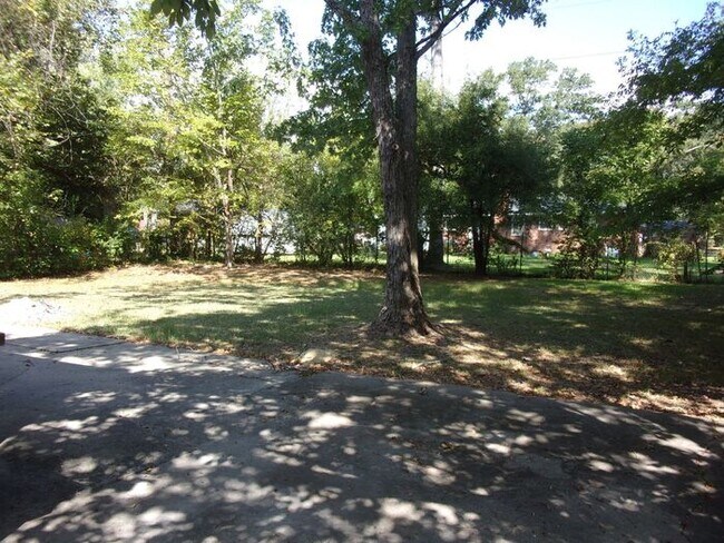 Foto del edificio - 3 Bedroom 1 Bath Brick Ranch - Recently Updated and Painted