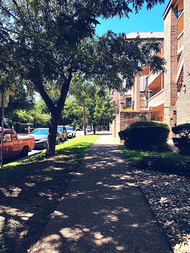 Building Photo - PEARL WEST CAMPUS - LOFTED 2BD/1BA  - $1250