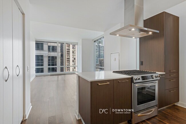 Building Photo - 203 N La Salle Dr
