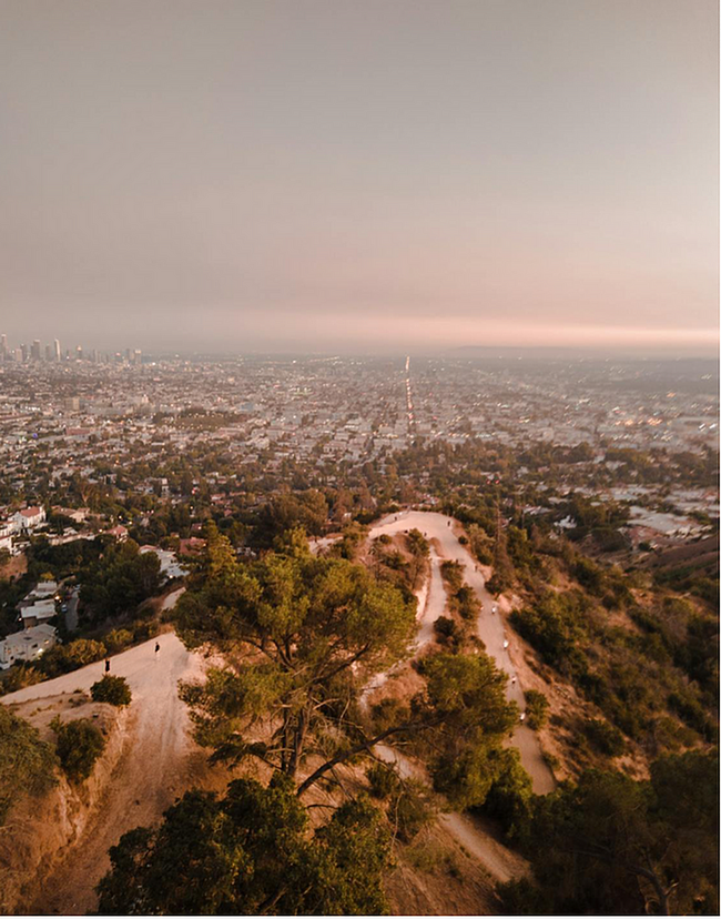 Cañón Runyon - Bloom on Hayworth