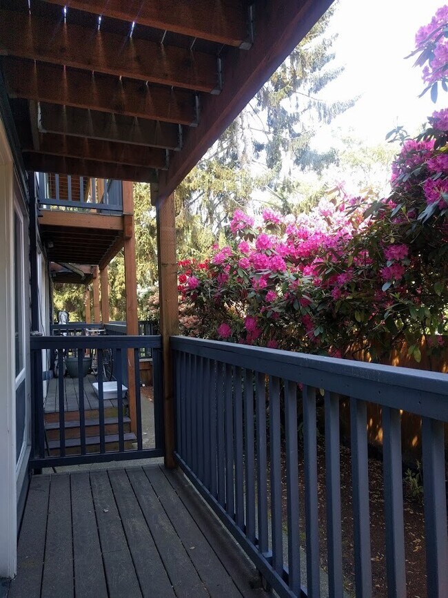 Foto del interior - Marine Vista