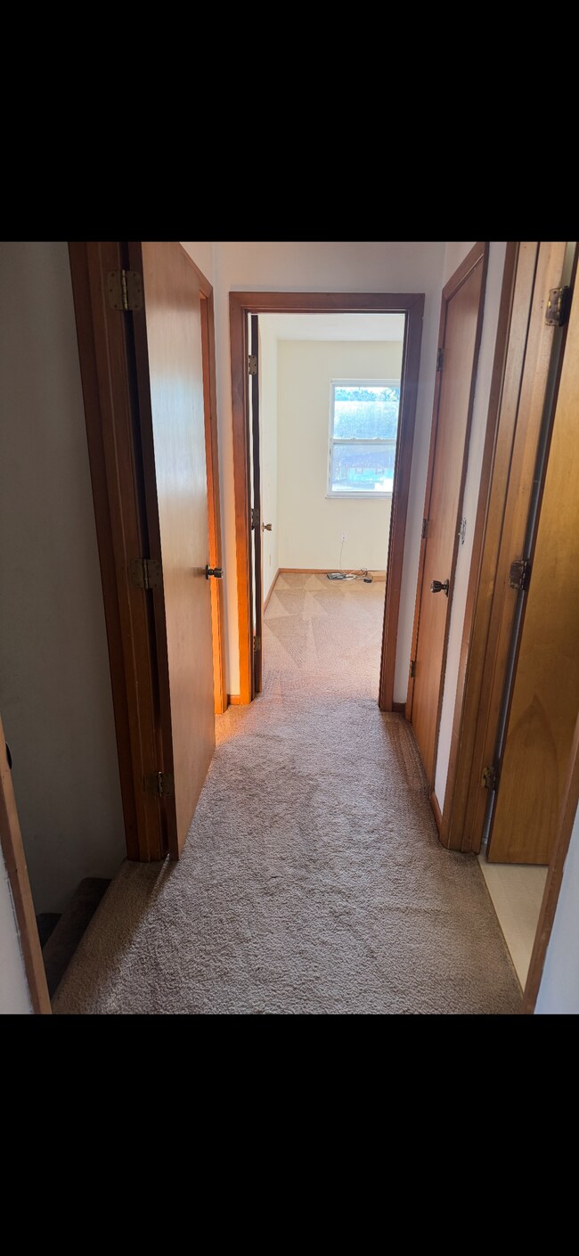 Foto del edificio - 203 Riverview Dr