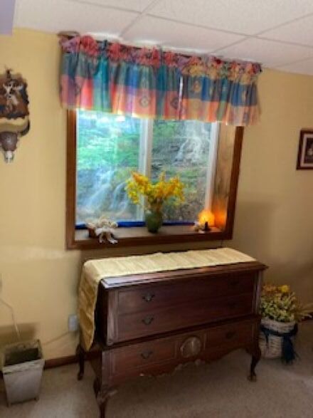 Ventana de salida de emergencia del dormitorio - 9900 W Walden Ave