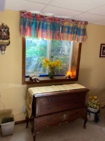 Bedroom egress window - 9900 W Walden Ave