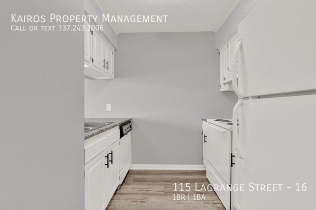 Building Photo - 115 W Lagrange St