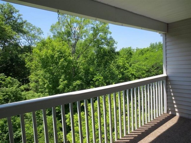 Building Photo - 185 Cave Run Dr