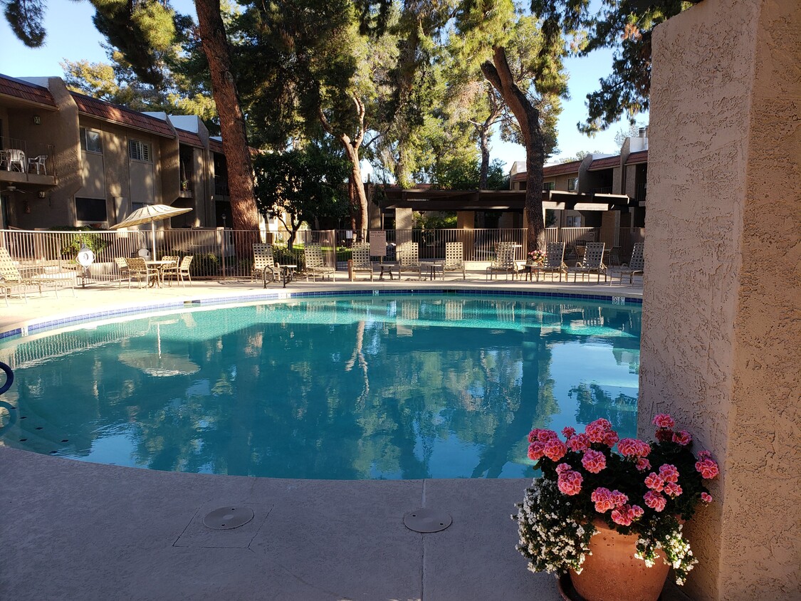 One of the pools - 7430 E Chaparral Rd
