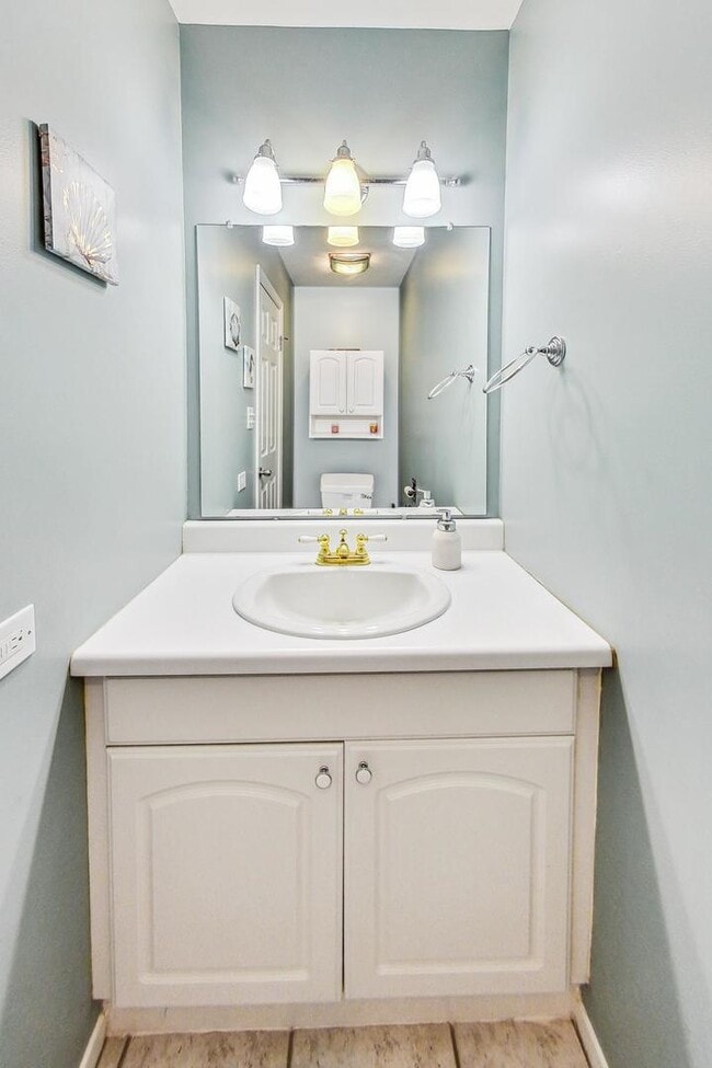 Guest Bathroom - 245 Hedgerow Dr