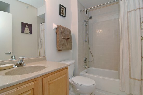 1 and 1/2 baths - 600 N Dearborn St