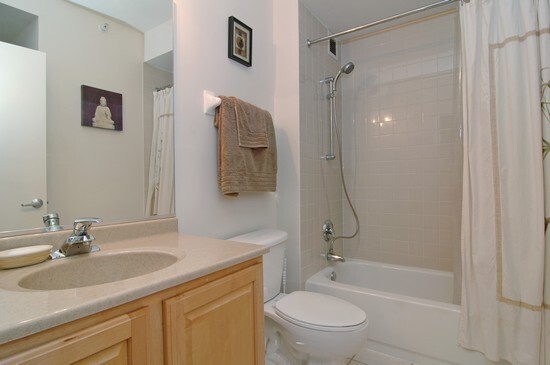 1 and 1/2 baths - 600 N Dearborn St