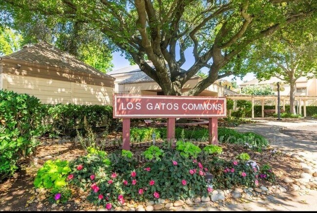 Photo - 451 Alberto Way Apartment