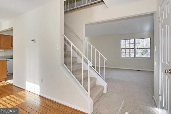 Foto del edificio - 10024 Downeys Wood Ct