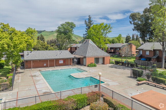 Piscina - Cherry Lane Apartment