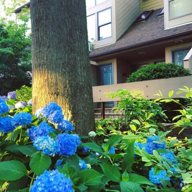 North Old Greenwhich Loft Apartments for Rent Greenwich, CT 1