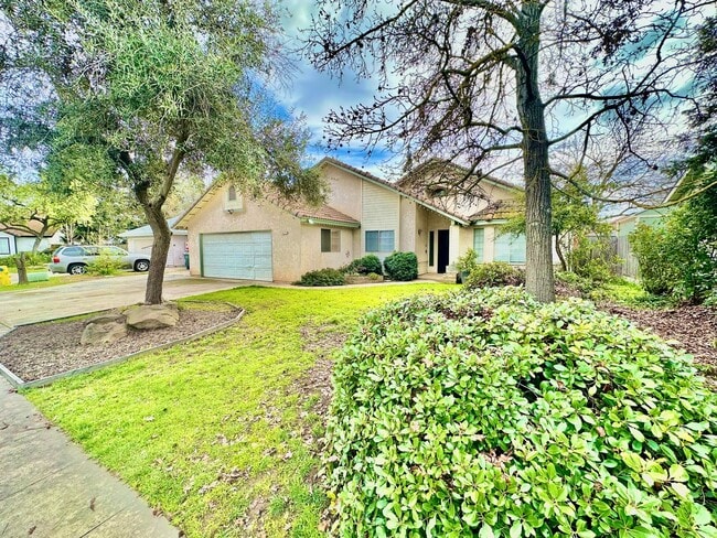 Building Photo - Spacious 3/2 in  Clovis